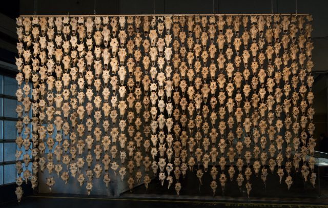 Une œuvre d'art réalisée à partir de crânes d'animaux à l'exposition de la documenta